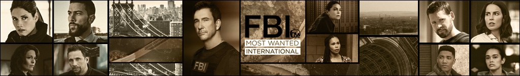 Bannière du quartier FBI, franchise